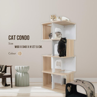 ProSpace คอนโดแมว บ้านแมว ชั้นแมวมินิมอล  สินค้าใหม่