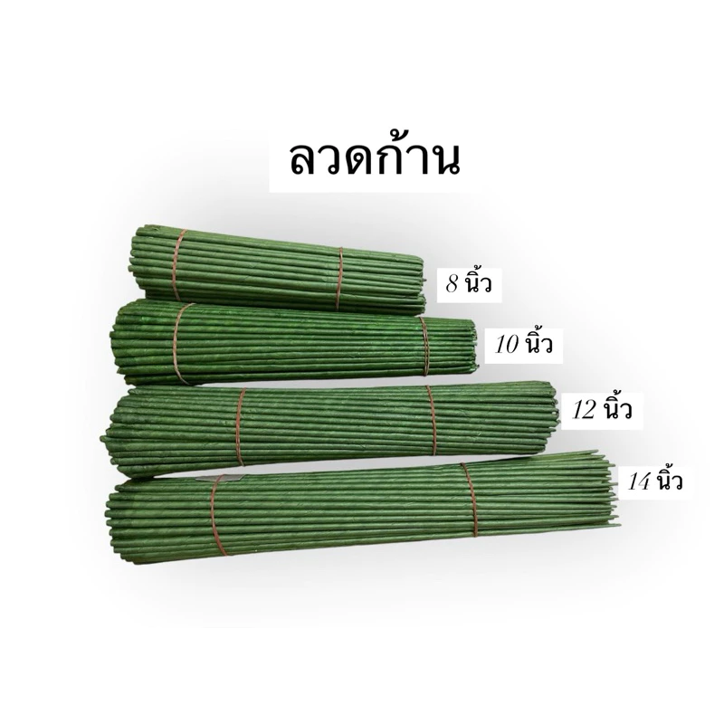 (แบ่งขาย 20 ก้าน) ก้านต้น ก้านกุหลาบ ขนาด 5 มิล ความยาว 8,10,12,14 นิ้ว