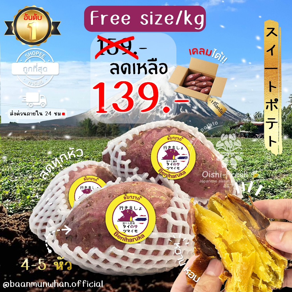 Oishi-Fresh มันหวานญี่ปุ่น 🇹🇭ปลูกในไทย🇹🇭 สายพันธุ์ Beni Haruka หวานนุ่ม เนื้อเหลือง ฉ่ำ  1 กิโลกรัม 