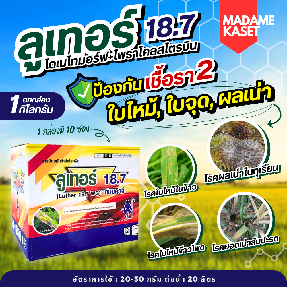 ยกกล่องx10ซอง | ลูเทอร์ 18.7 (ไดเมโทมอร์ฟ + ไพราโคลสโตรบิน) ช่วยป้องกันโรคเชื้อราใบไหม้ ใบจุด ในพืชไร่พืชสวน (1 kg)