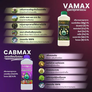 โปร 1 แถม 1 (ปุ๋ยธาตุรวม VAMAX + CABMAX แคลเซียมโบรอน) ปลอดภัยขึ้นทะเบียนอย่างถูกต้อง (V1+C1)