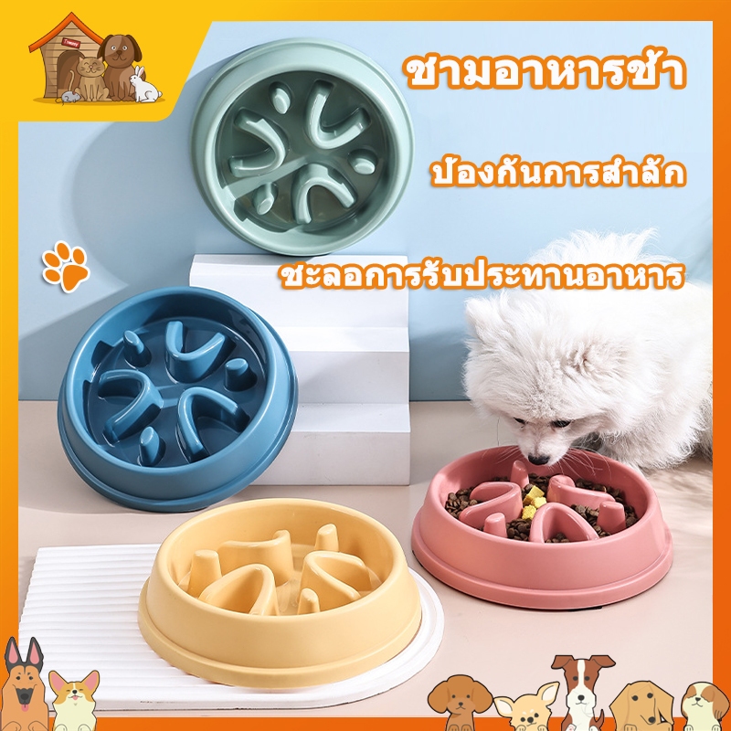 ชามกันสำลัก ชามอาหารสัตว์เลี้ยง สุนัข หมา แมว ฝึกให้ทานช้าลง ช่วยลดการสำลัก มีสี่สีให้เลือก วัสดุ PP ความปลอดภัย