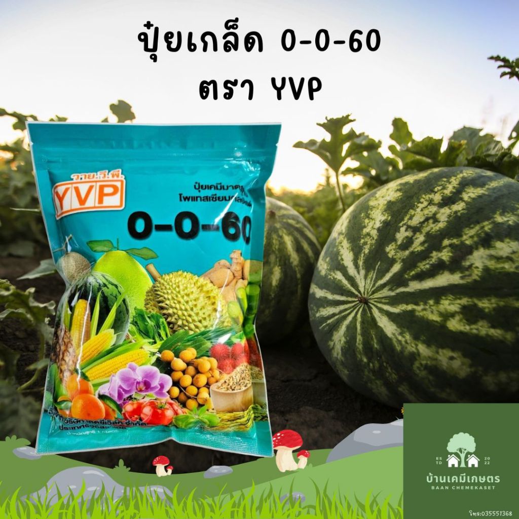 ปุ๋ยเกล็ด 0-0-60 ตราวายวีพี ขนาด 1กก
