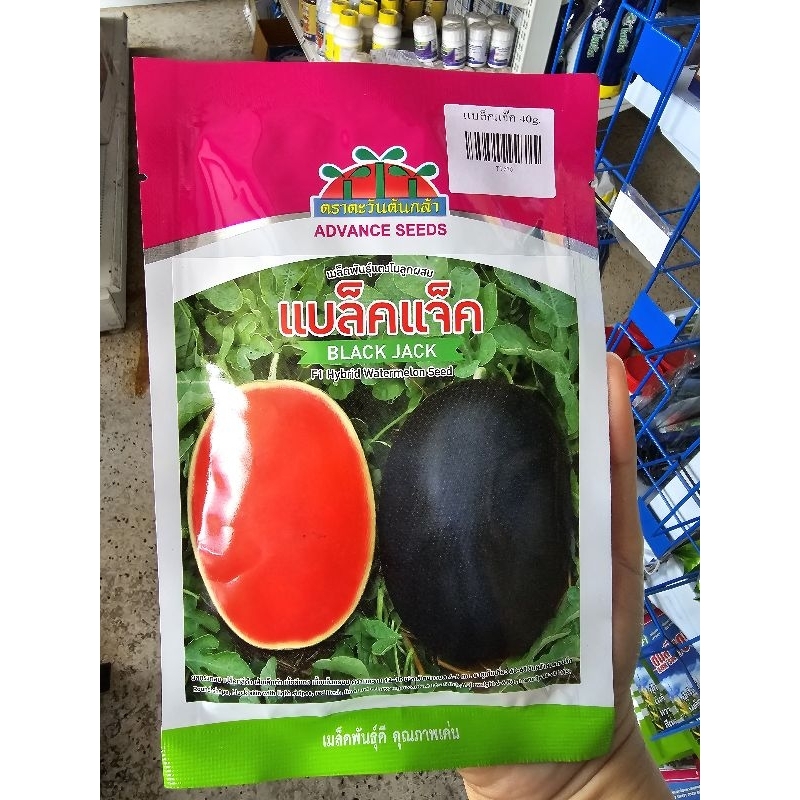 เมล็ดแตงโม แบล็คแจ็ค Black Jack F1 ขนาด 40 กรัม เปลือกดำ ตรา ตะวันต้นกล้า คล้าย ทัมอัพ