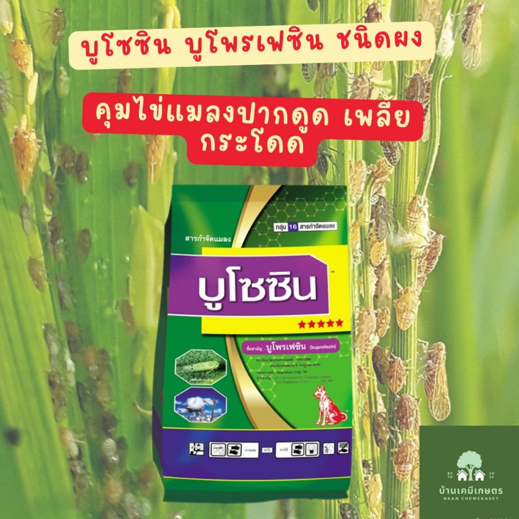 บูโซซิน บูโพเฟสซิน ขนาด1กก คุมไข่เพลี้ยกระโดด และ แมลงปากดูด หมาแดง