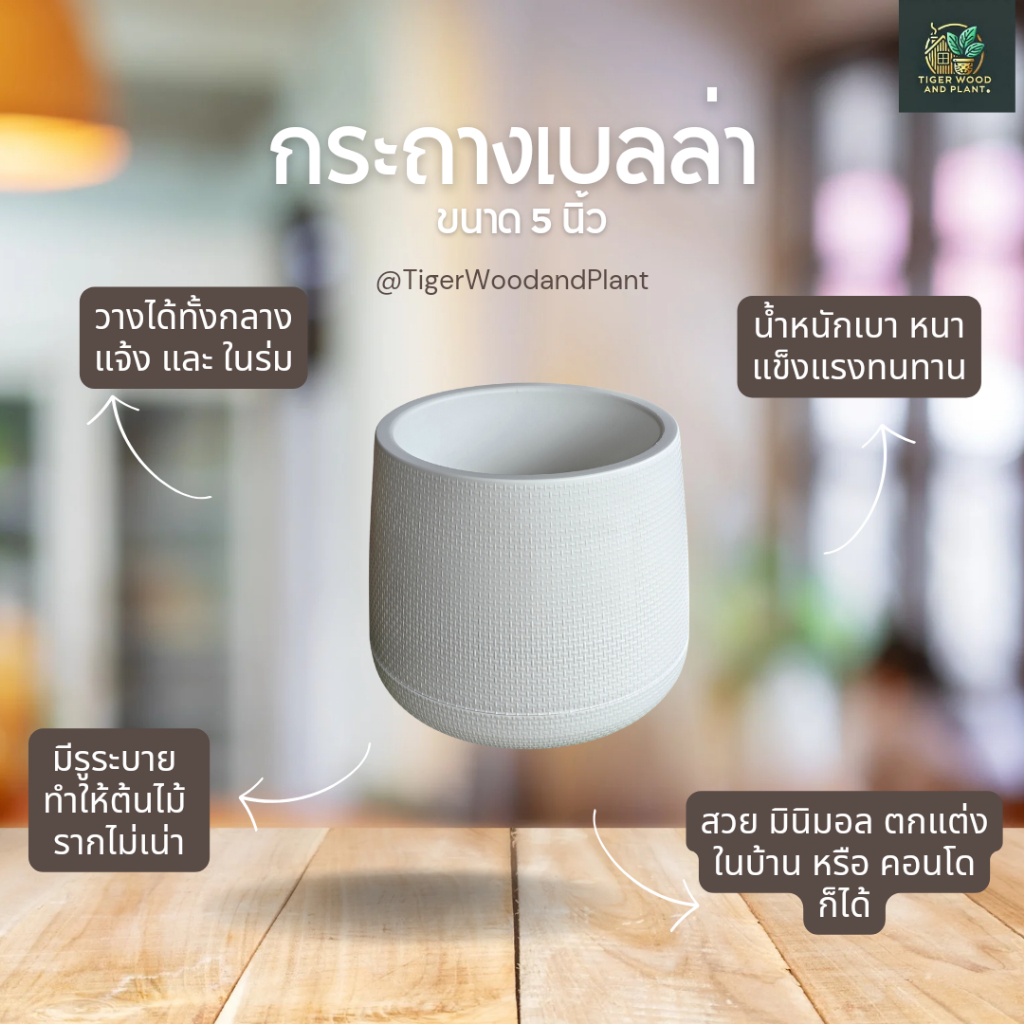 กระถางต้นไม้ เบลล่า พร้อมจานรองก้น ขนาด 5 นิ้ว (พร้อมส่ง)