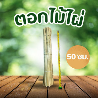 ตอกไม่ไผ่ ความยาว 50 ซม. น้ำหนัก 1 กิโลกรัม
