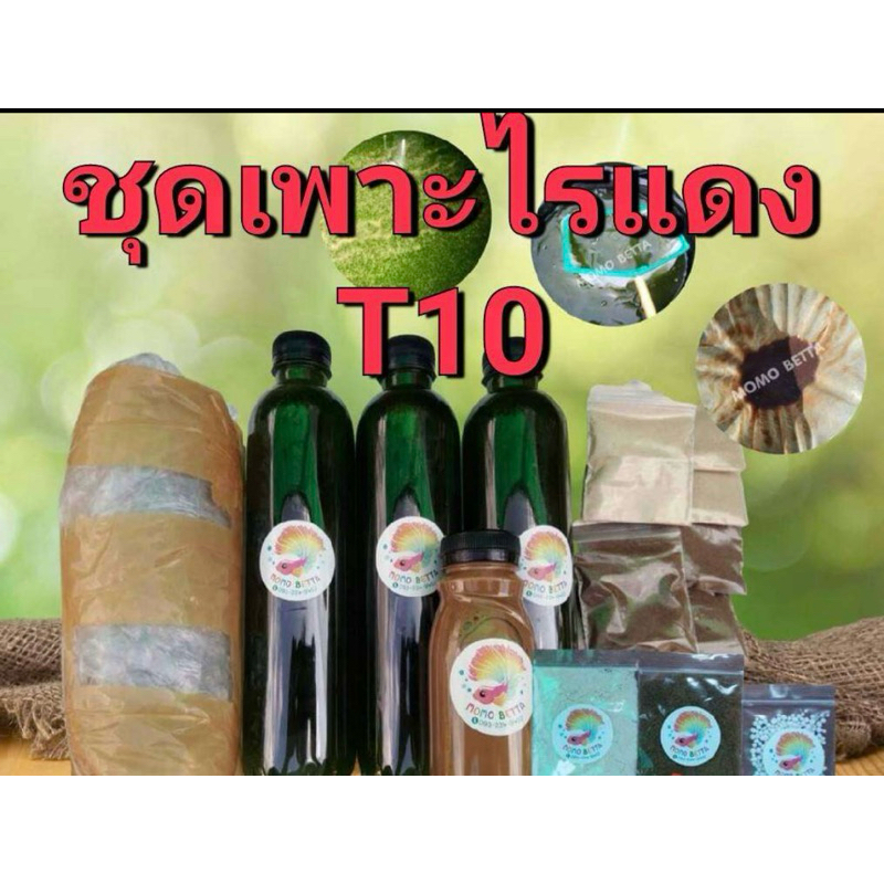 ชุดเพาะไรแดง T10 สายพัฒนา ของแท้รับประกัน100% แตกตัวภายใน24ชั่วโมง