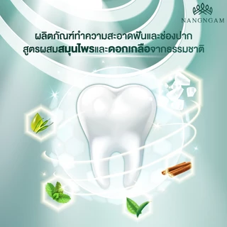 MGI ยาสีฟัน ทูธเพสท์ไวท์ พลัส ฟันขาว ลดกลิ่นปาก ป้องกันฟันผุ มิสแกรนด์ Toothpaste White Plus