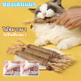 ไม้แมวเมา อันใหญ่ ไม้ขัดฟันแมว มาทาบิ ไม้มาทาทาบิ ของเล่นแมว ลดคราบหินปูน กัญชาแมว ขนาดเหมาะกับแมวมากที่สุด