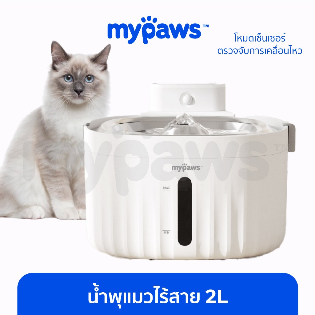 ซื้อ My Paws น้ำพุแมวไร้สาย ความจุ 2 ลิตร มีเซนเซอร์ตรวจจับการเคลื่อนไหว