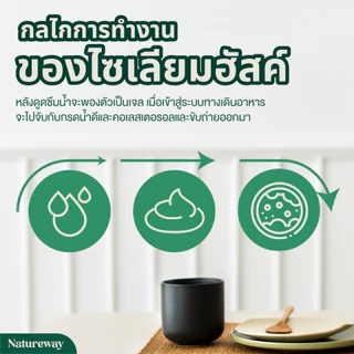 เนเจอร์เวย์ ไซเลี่ยมฮัสค์ ชนิดเกล็ด ขนาด50g, 100g Natureway Organic Psyllium Husk