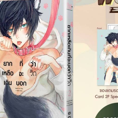 (แถมโปสการ์ด) ยากเหลือเกินที่จะบอกว่ารัก เล่มที่ 2 การ์ตูนวาย หนังสือการ์ตูนวาย BL มังงะ firstlove 08/67