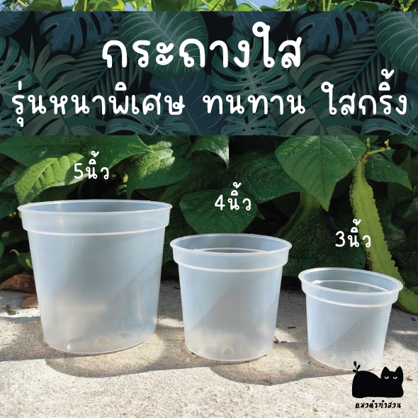 (พร้อมส่ง) กระถางใส กระถางต้นไม้ใส ส่องรากง่าย แบบเหนียวและหนาไม่แตกง่าย กระถางพลาสติกใส ขนาด3 4 5 6 7 นิ้ว
