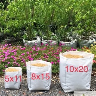 ถุงเพาะชำ ถุงปลูกผัก ระบายน้ำดี ไม่ต้องเจาะรู ไม่ต้องกลัวราก…