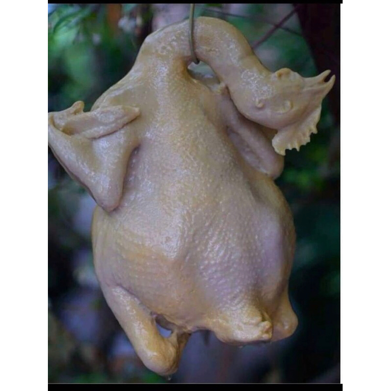 โมเดลไก่ต้มทำจากเรซิ่น ขนาดเท่าไก่จริง3โลครับเหมาะสำหรับร้านขายข้าวมันไก่แขวนแทนของจริง ทนทานนานปีครับ ขายกันไม่แพงครับๆ