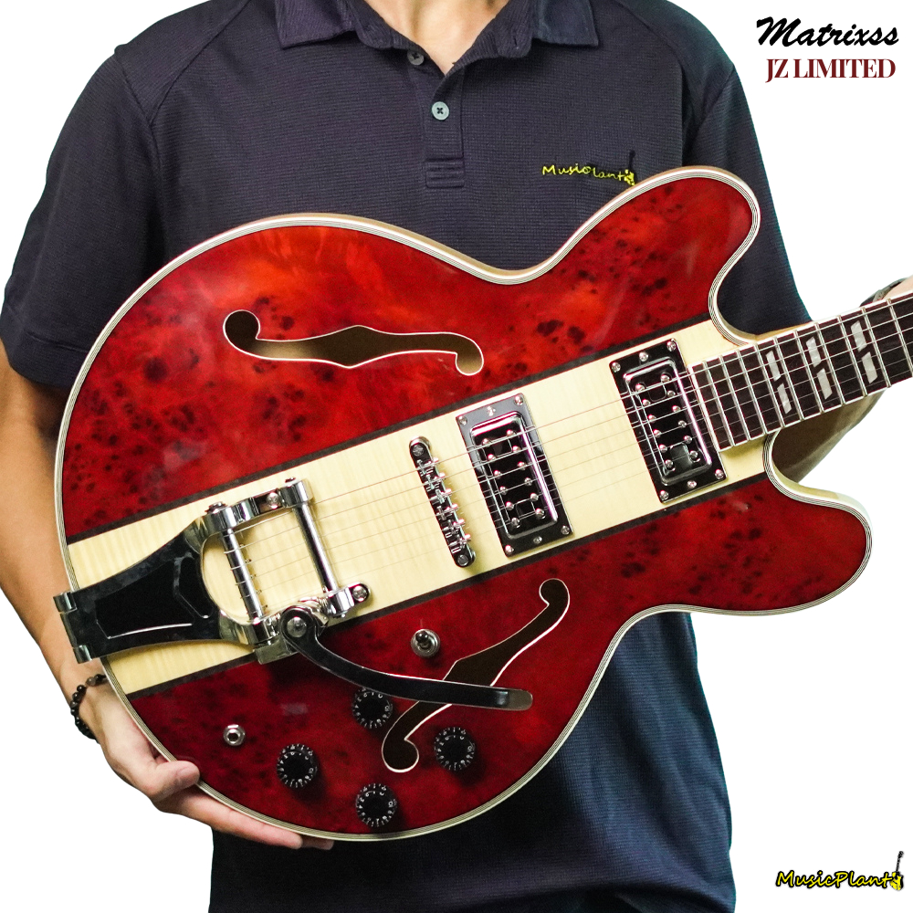 กีตาร์ไฟฟ้า Matrixss - JZ Limited