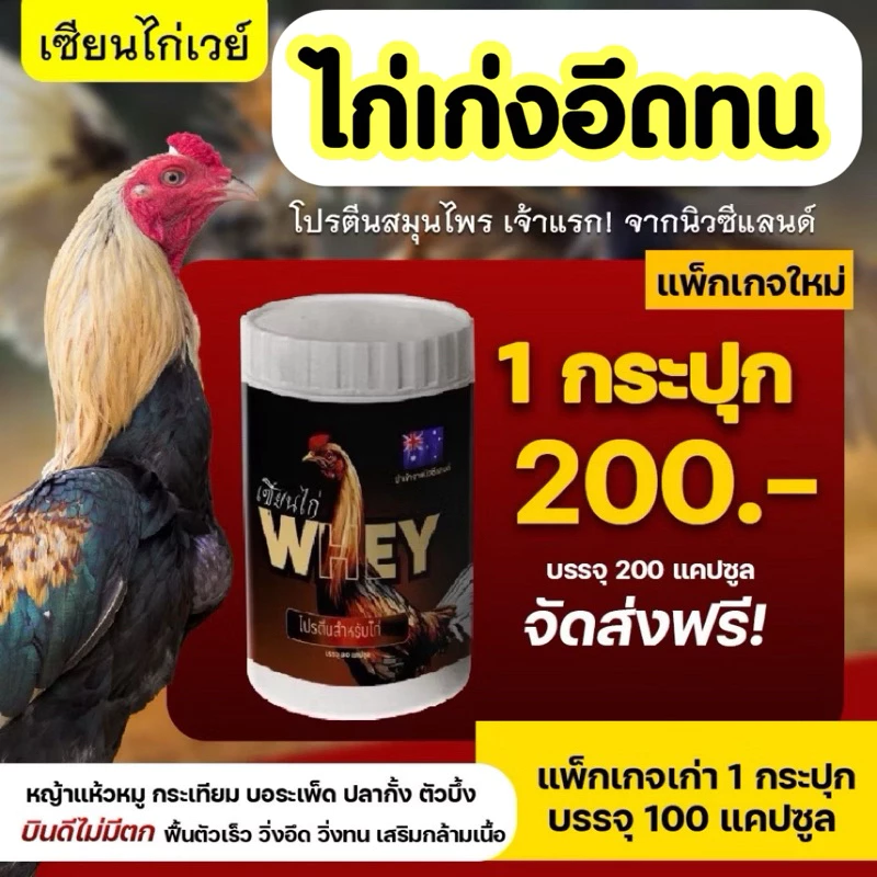 💪🏽🐔เซียนไก่เวย์ โปรตีนไก่ชน บินดีไม่มีตก วิ่งอืด บำรุงไก่ชน เสริมกระดูก #เซียนไก่การันตี🐓