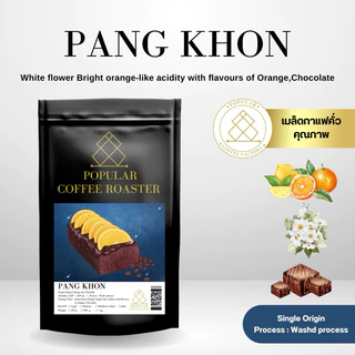 Popular Coffee Roasterเมล็ดกาแฟคั่ว Pang khon เกรดคัดพิเศษ AA