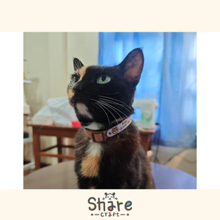 Sharecraft ป้ายชื่อแมว ปลอกคอนิรภัย สลักชื่อ-เบอร์โทร เลือกลายแมว สายหนังนิ่ม