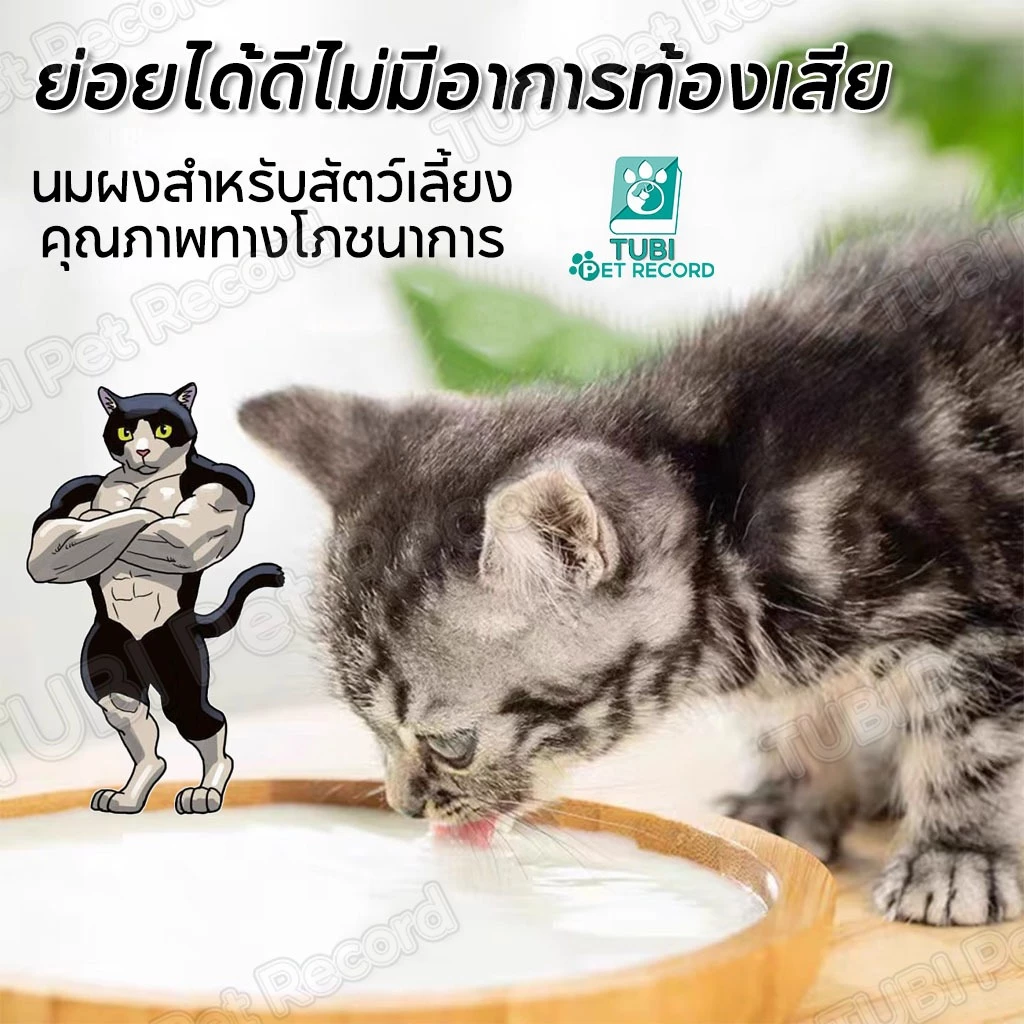 TUBI นมผงแกะ เสริมสร้างสมรรถภาพ อุดมสารอาหาร thumbnail 8