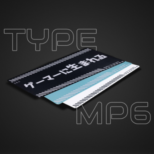 EGA TYPE MP6 แผ่นรองเมาส์