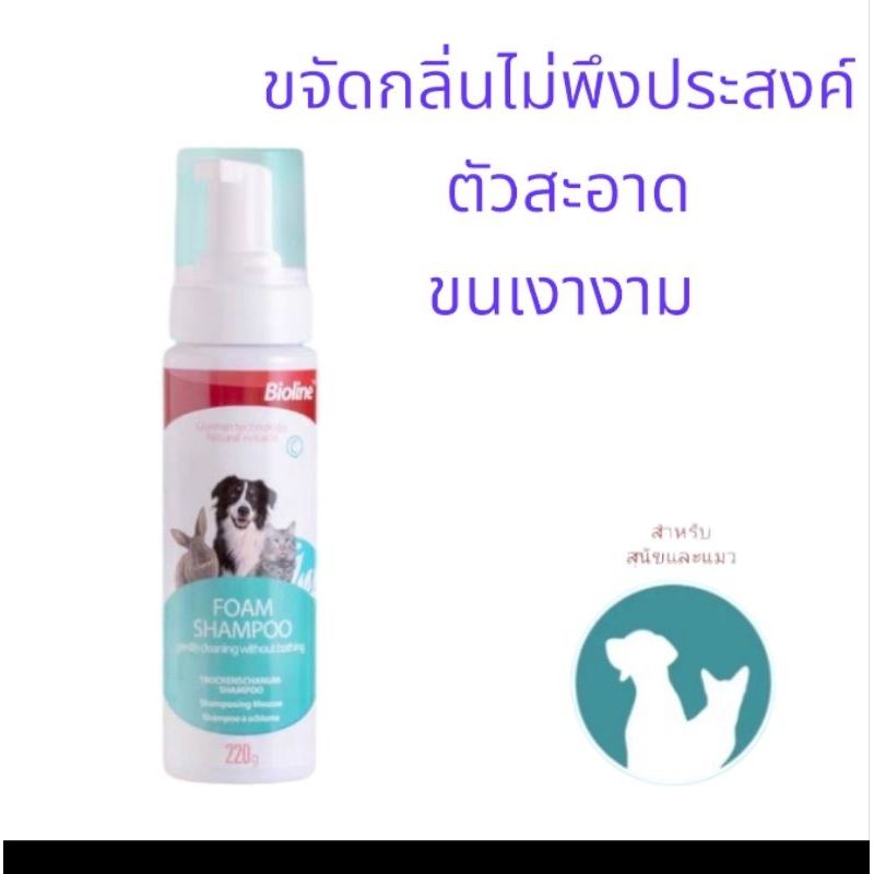 Bioline โฟม แชมพู อาบแห้งสำหรับสัตว์เลี้ยง สุนัข แมว  Bioline Dry Shampoo ขนาด 220 กรัม -BL(2021)