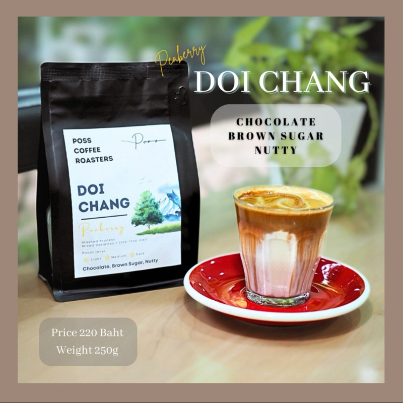 Poss Coffee Roasters เมล็ดกาแฟคั่ว Doi Chang Peaberry อ่อน กลาง เข้ม 1kg บดฟรี