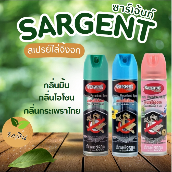 สเปรย์ไล่จิ้งจก ตุ๊กแก และสัตว์ลิ้นสองแฉก ไล่จิ้งจก ไล่ตุ๊กแก กำจัดจิ้งจก ขนาด 250 มล.