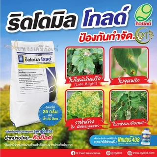 ขนาด 500 กรัม ริดโดมิลโกลด์ เอ็มแซด 68 ดับบลิวจี คิวยีลด์ สารป้องกันกำจัดโรคพืช