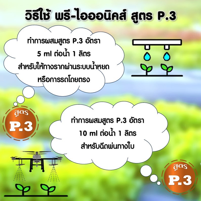 สารสกัดอาหารพืช (สูตร P.3) ทดแทน ปุ๋ยโพแทสเซียมเคมี สำหรับปลูกพืชอินทรีย์ รับรองมาตรฐานอินทรีย์ IFOAM - รูปที่ 2