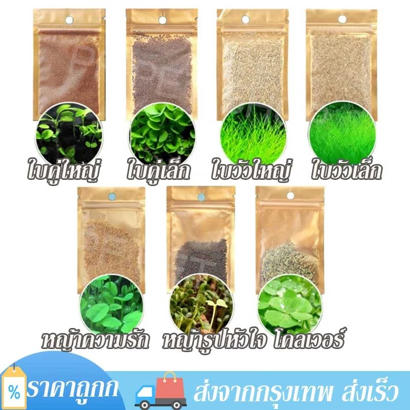 เมล็ด ไม้น้ํา 5 กรัม/ซอง เมล็ดพันธ์ุไม้น้ำ ปลูกตกแต่งตู้ปลา ไม้น้ำ seeds เปอร์เซนต์งอกสูงพร้อมปลูกพืชไม่ต้องใช้co2