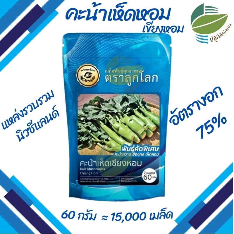 คะน้าเห็ดหอม คะน้าหวาน คะน้าฮ่องกง แหล่งรวบรวมนิวซีแลนด์
