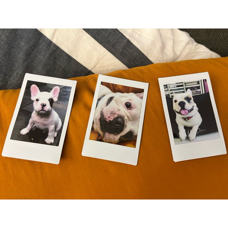 print รูปโพลารอยด์ Happy Birthday, Aniversary , byenior หรือของขวัญงานรับปริญญา