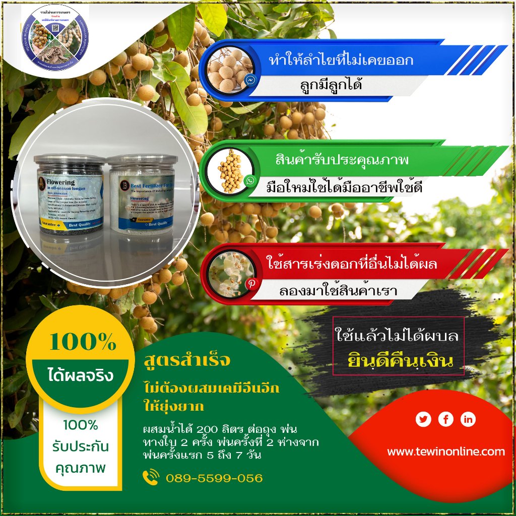 สารเร่งดอกลำไย สูตรสำเร็จ ได้ผล 100% สารลำไยชนิดนี้ใช้เป็นสารพ่นใบลำไย มีส่วนประกอบที่จำเป็นในการเร่งดอกลำไยครบ