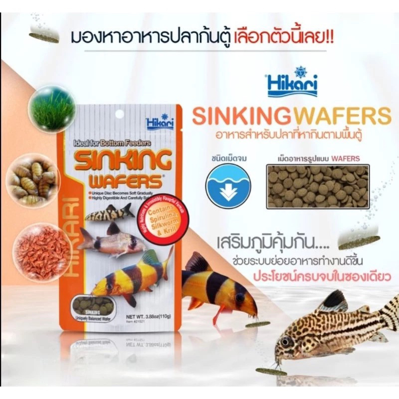 Hikari Tropical Sinking Wafer 25-110 g.