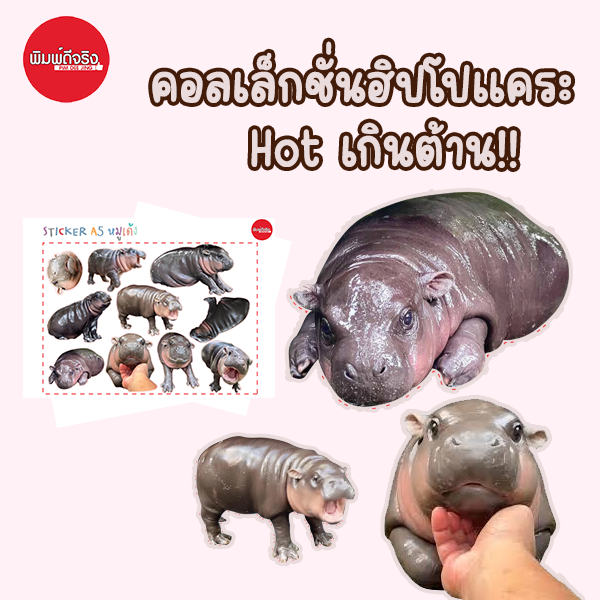 สติกเกอร์หมูดึ๋ง ฮิปโปแคระ สุดน่ารัก ติดตรงไหนก็น่ารัก แจกความสดใส มุ้งมิ้งน่ารักเกินต้าน!