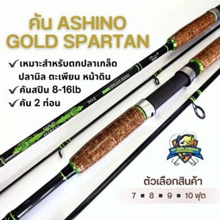 คัน ASHINO GOLD SPARTAN สปินสองท่อน เวท 8-16lb ขนาด 7-10 ฟุต
