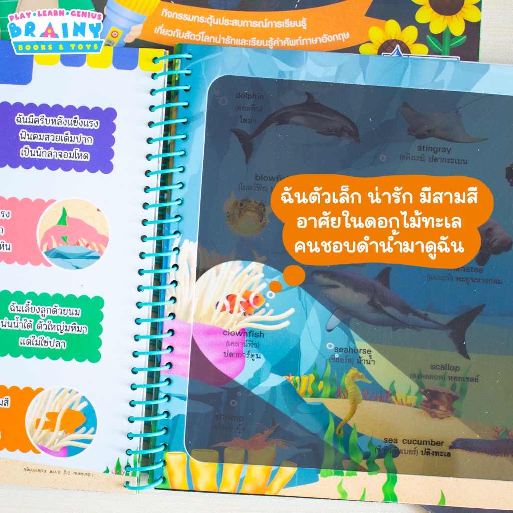 BrainyToys หนังสือส่องไฟฉายท่องโลกกว้าง 100 First Animals หาเพื่อนของฉันเจอไหม? - รูปที่ 3
