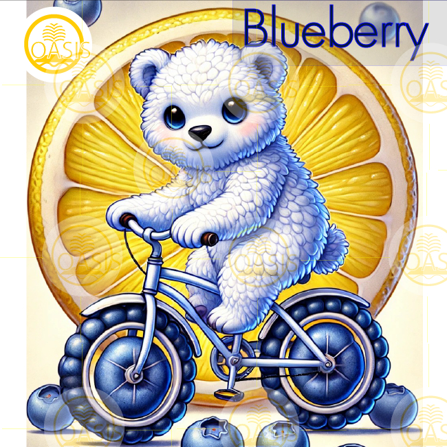 Oasis Coffee&Roaster Blue Berry Omni Roast