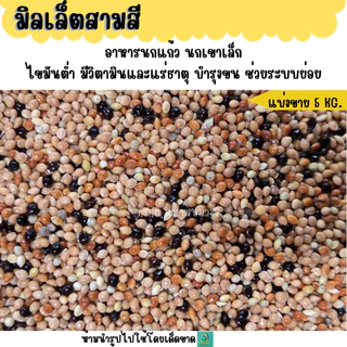 (5 KG./10 KG.) มิลเล็ตสามสี อาหารนกแก้ว นกเขาเล็ก