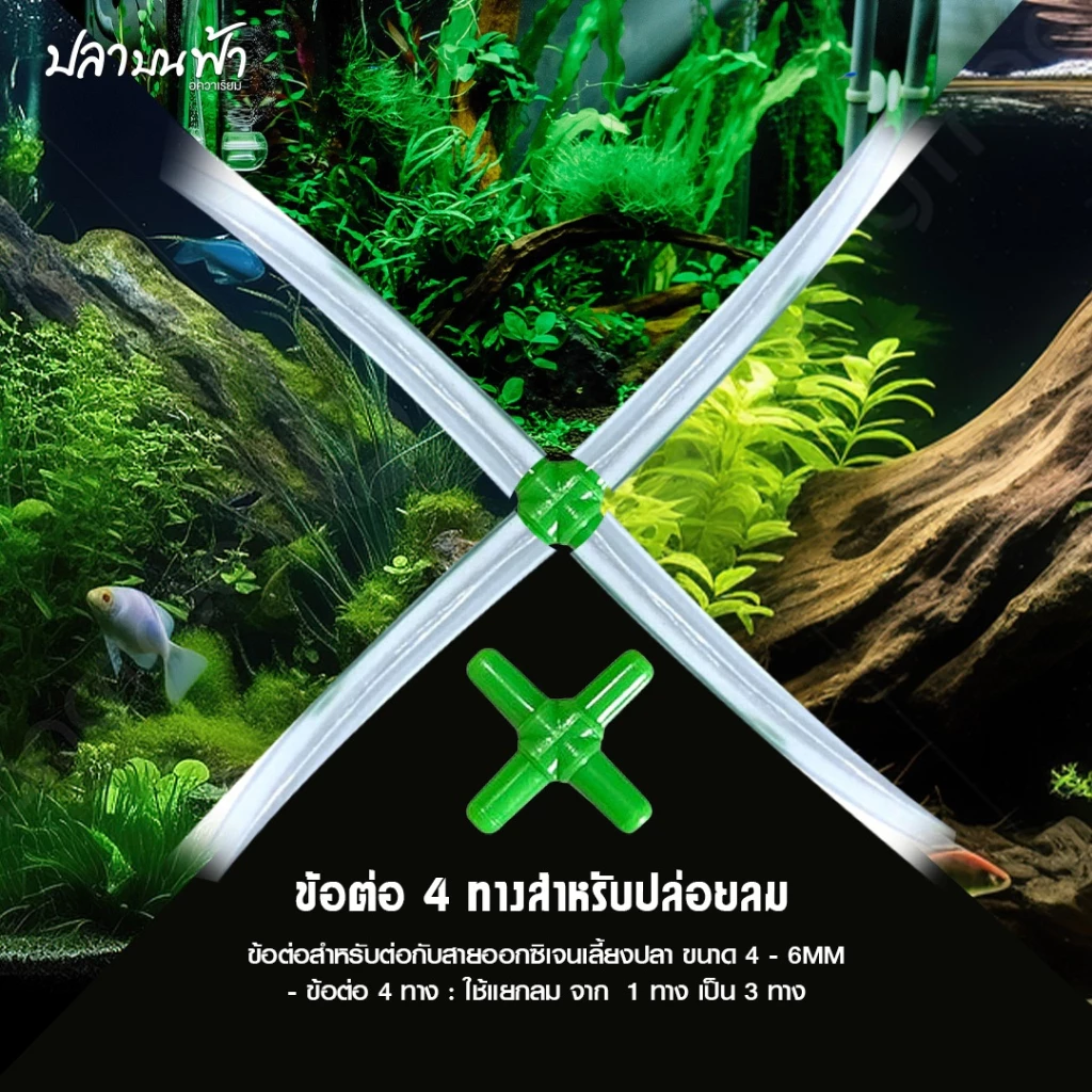 ข้อต่อ MS ROYAL สายยางเลี้ยงปลา ต่อตรง-สามทาง-สี่ทาง ทนทาน thumbnail 6