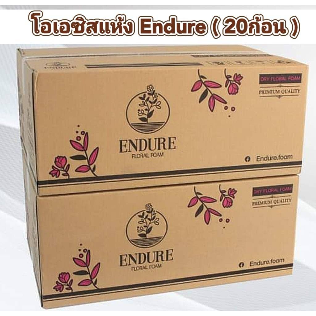 โอเอซิสแห้ง ยี่ห้อEndure