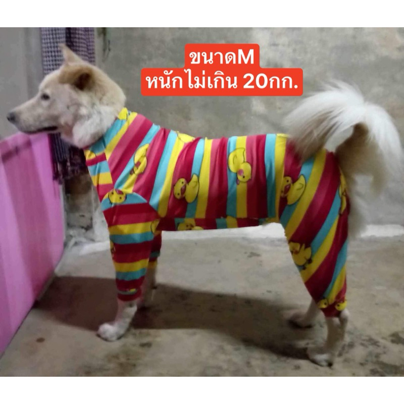 รูปภาพ 6