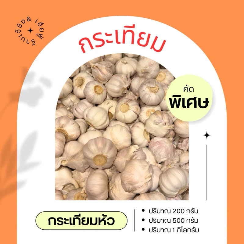 กระเทียม กระเทียมหัว กระเทียมคัดสวย กระเทียมหัวสวย