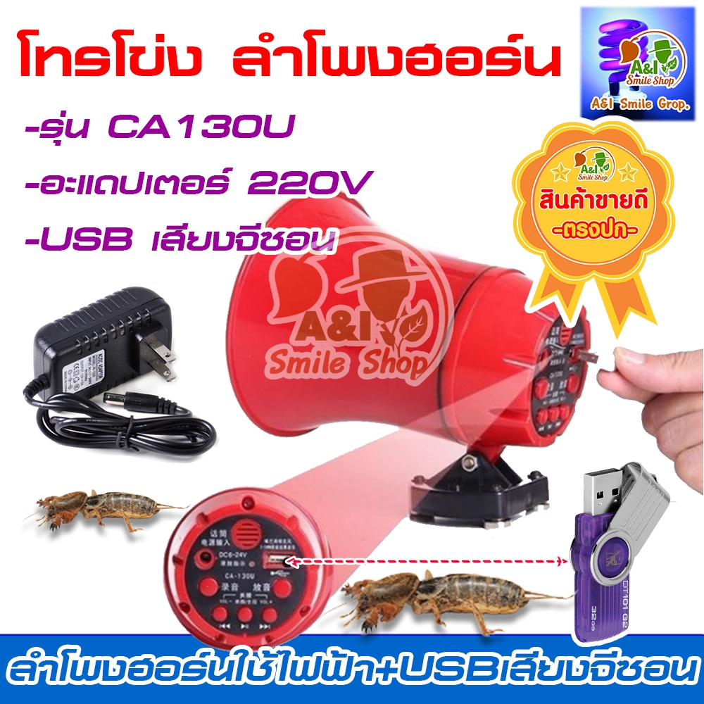 ชุดเสียงล่อแมงจีซอน แบบใช้ไฟบ้าน ชุดเสียงกลางแจ้งและUSBเสียงจีซอน