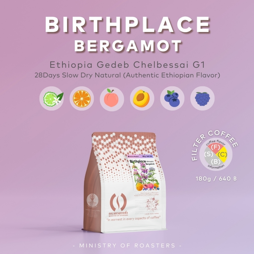 เมล็ดกาแฟเอธิโอเปีย Ethiopia : Birthplace Bergamot
