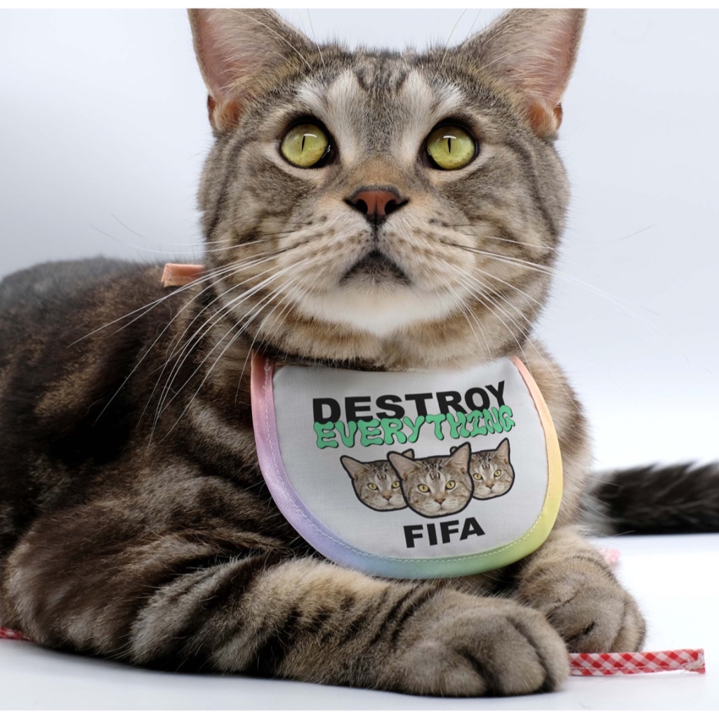 Customized-BIB-ผ้าผูกคอหมาแมว>>>>สามารถเปลี่ยนรูปและข้อความได้**ส่งรูปมาทาง INBOX ได้เลย