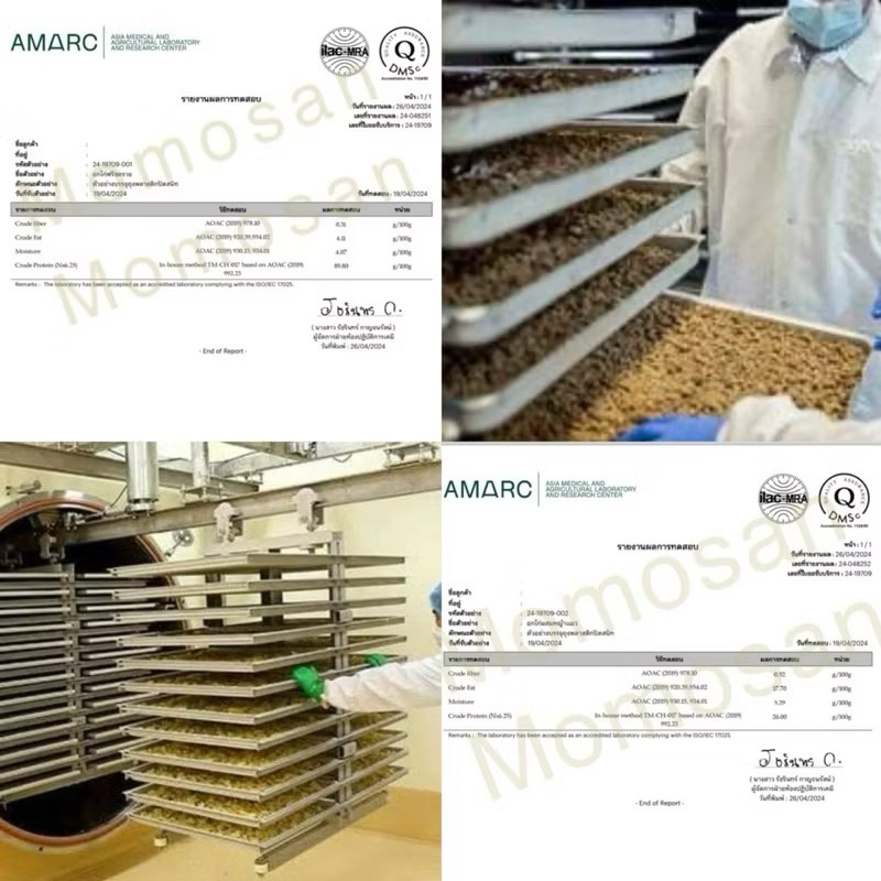 [ถุงกลาง] แซลมอนฟรีซดราย 250g. อ อาหารแมว เนื้อสัตว์100% ไม่เค็ม ขนมแมว ขนมหมา - รูปที่ 2