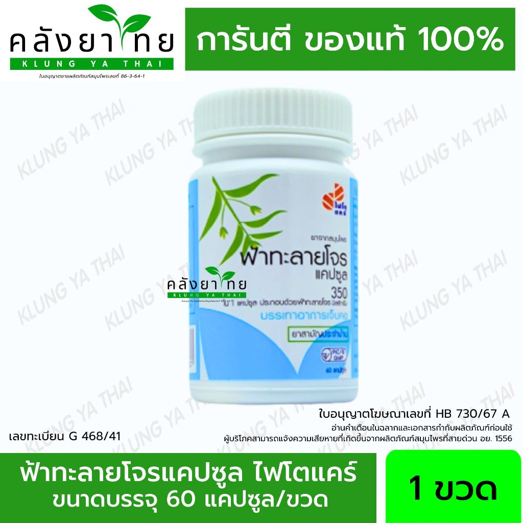 Phyto Care ฟ้าทะลายโจรแคปซูล 350 mg. 60 แคปซูล/ขวด ไฟโตแคร์ GPO ฟ้าทะลายโจรองค์การเภสัชกรรม